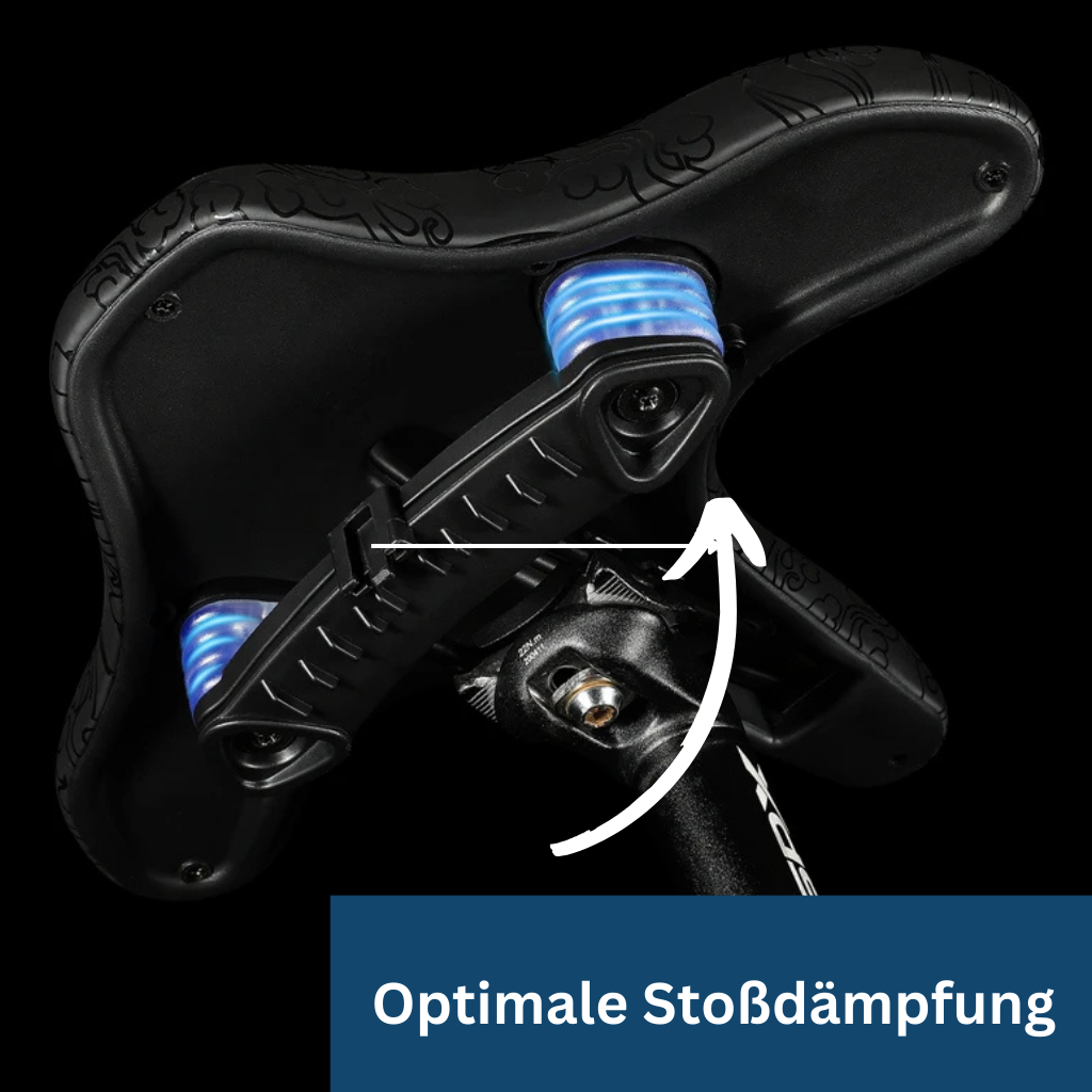 Fahrradsattel Phönix