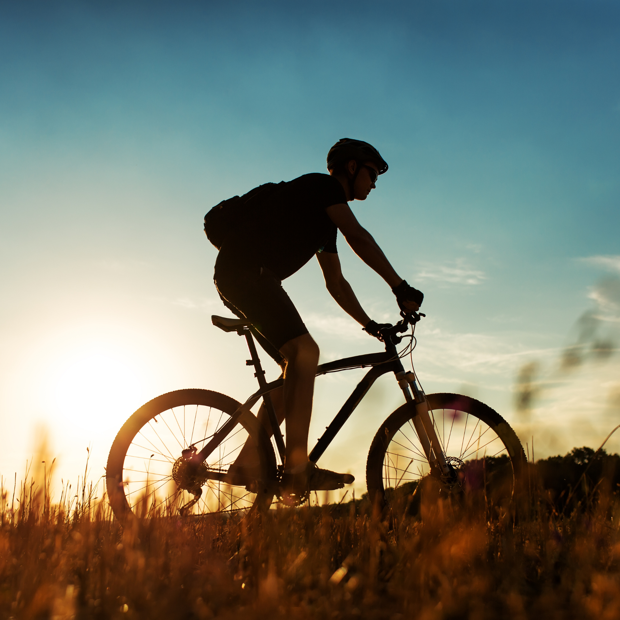 ErgoSoft - Fahrradsattel