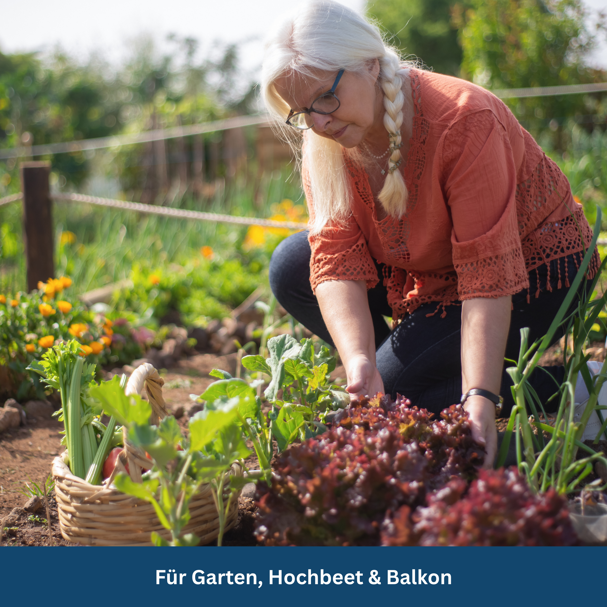 Survival Garten-Set – 35 Bio-Sorten, 16.000+ Samen